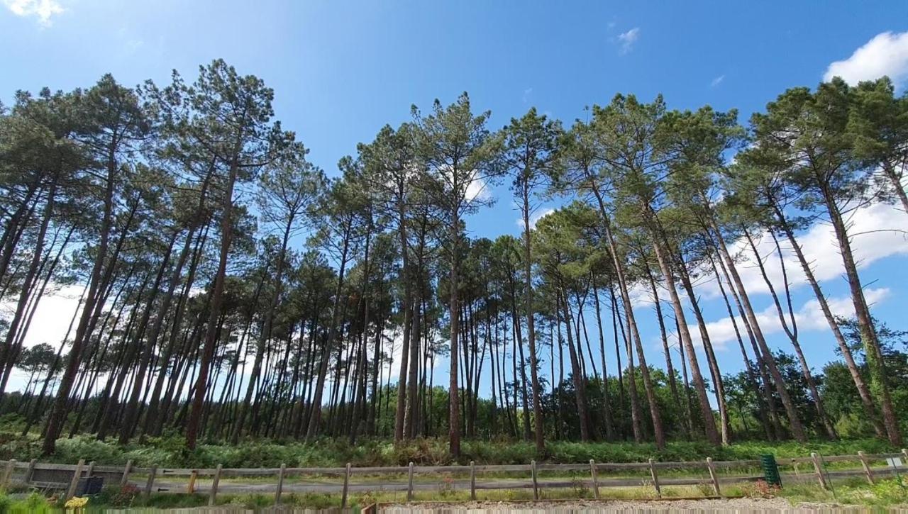 Maison Gemme A Landes Léon Esterno foto